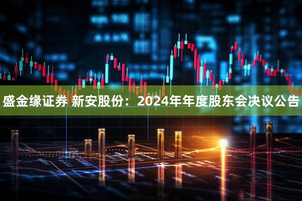盛金缘证券 新安股份：2024年年度股东会决议公告