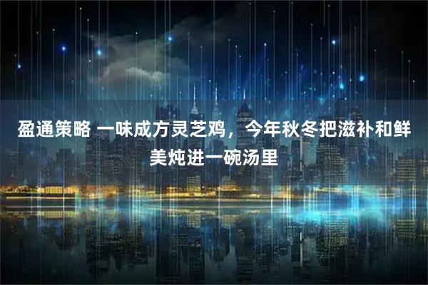 盈通策略 一味成方灵芝鸡，今年秋冬把滋补和鲜美炖进一碗汤里